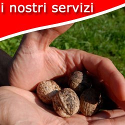 foto simbolica i nostri servizi